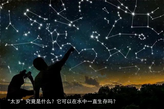 “太歲”究竟是什么？它可以在水中一直生存嗎？